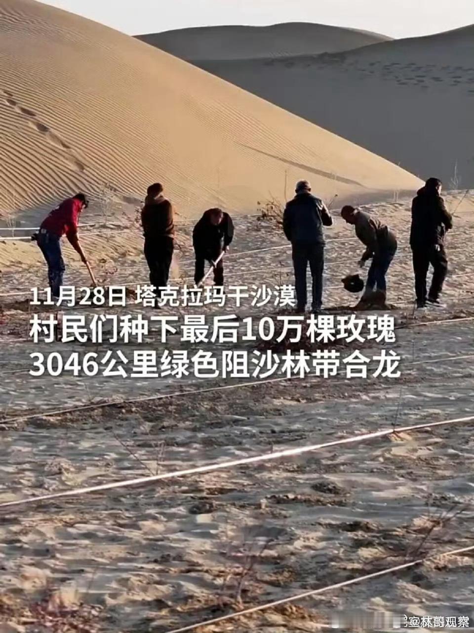 一代治沙人有一代治沙人的坚守沙漠每年逼近十米，听着就吓人！可就是有人，偏要和风沙