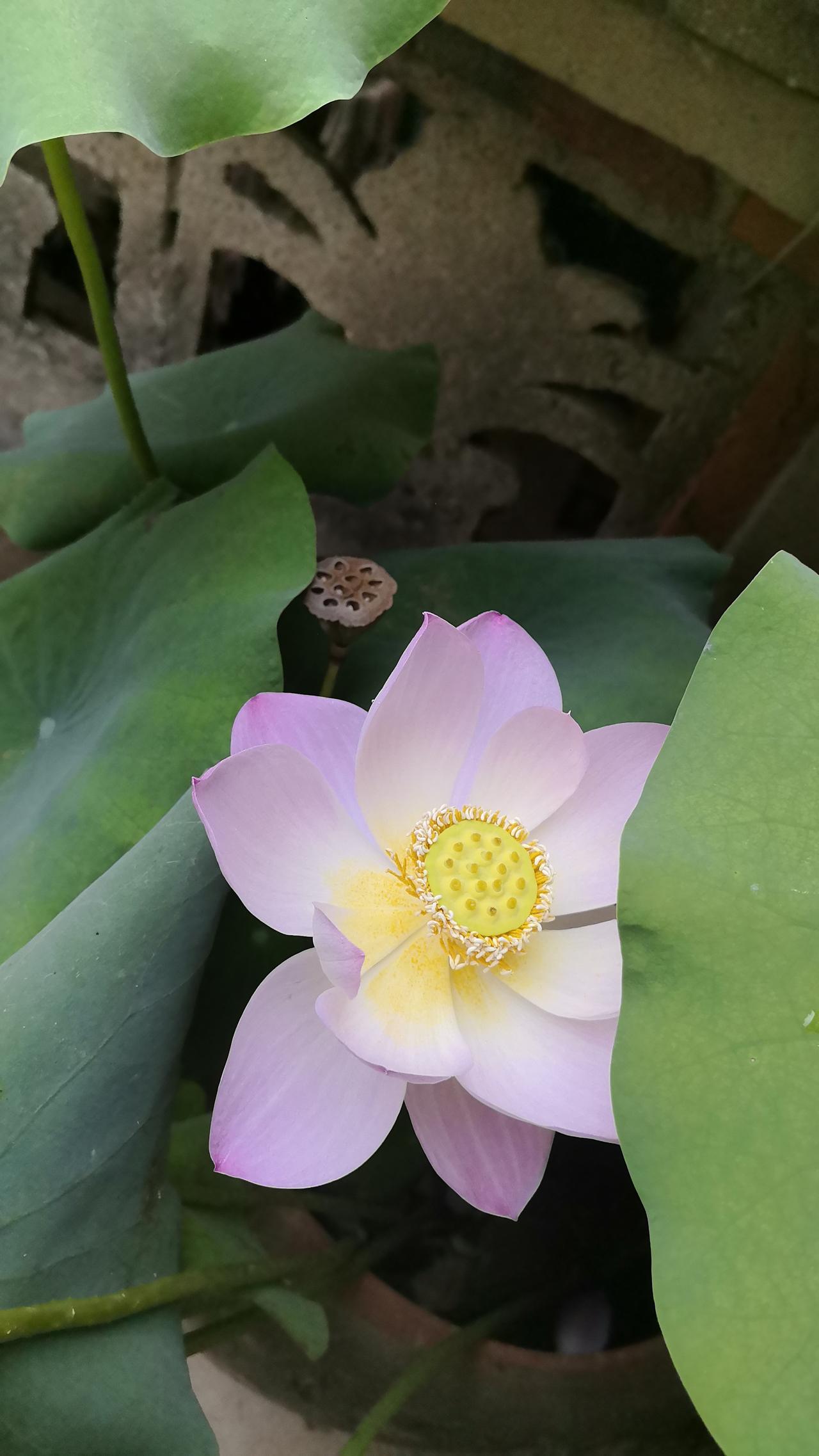 1.鼠：洞察机敏，擅长规避风险，处事灵活
2.牛：踏实通透，擅长稳步规划，稳中求