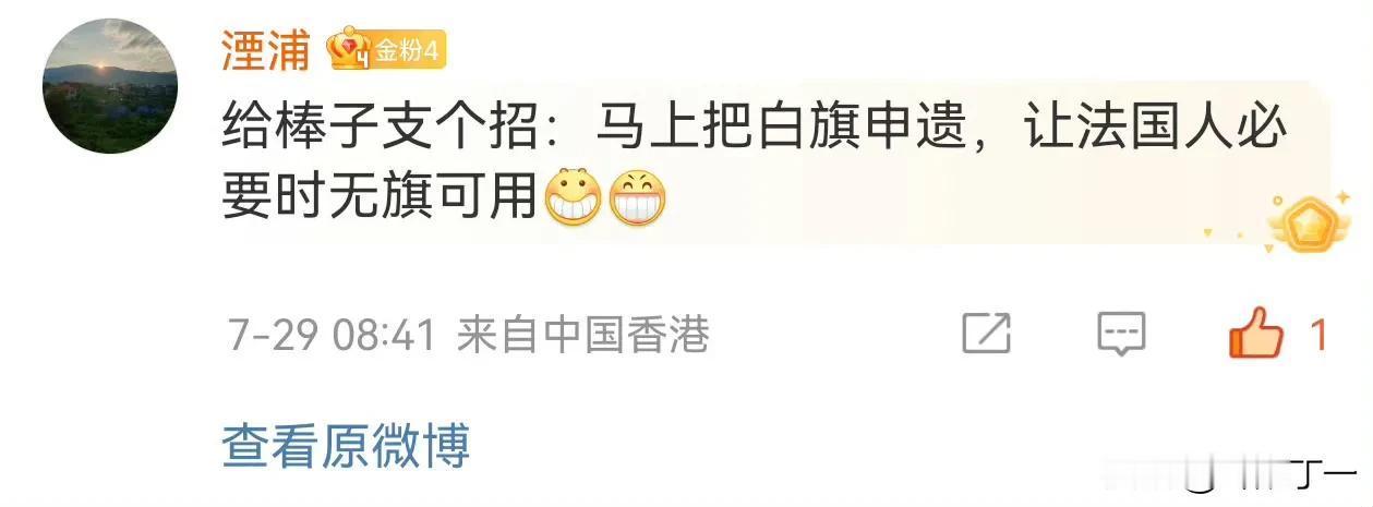 网友建议，韩国把白旗申遗，让法国必要时无旗可用