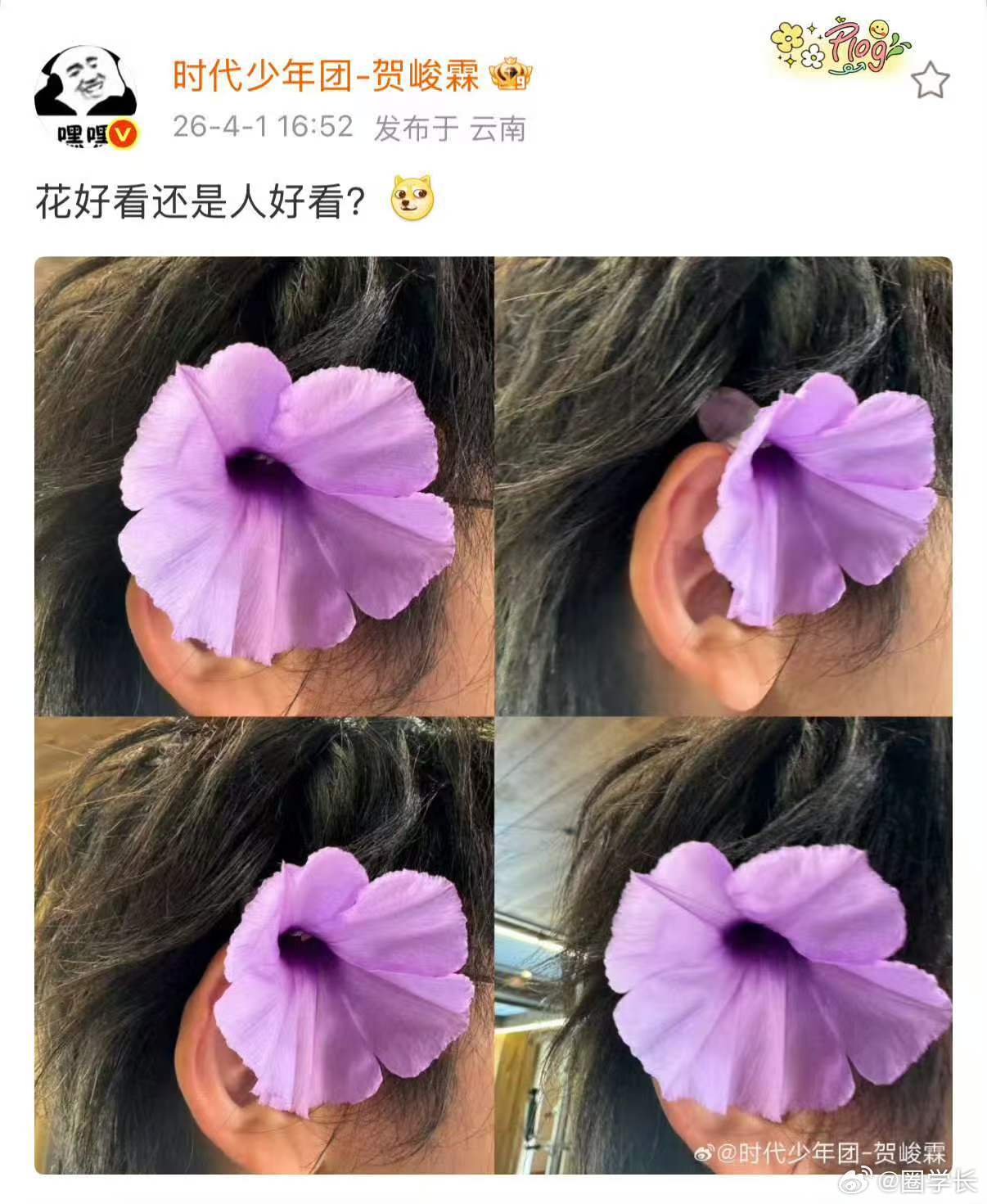 时代少年团愚人节互发时代少年团这次愚人节的发博方式又很有新意，看得出来大家状态都