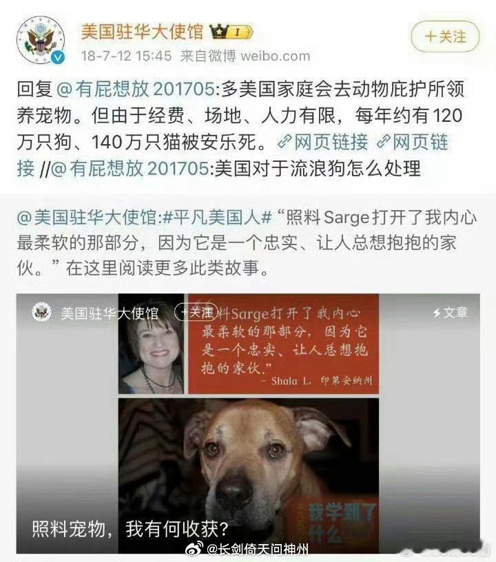 建议在宠物管理方面，全盘学习美国。对三个月以上无人领养的猫狗这么处理美国男子因虐