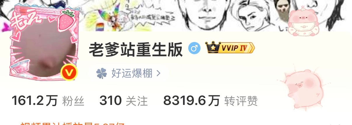 VVIP IV共享计划赚麻了吧 