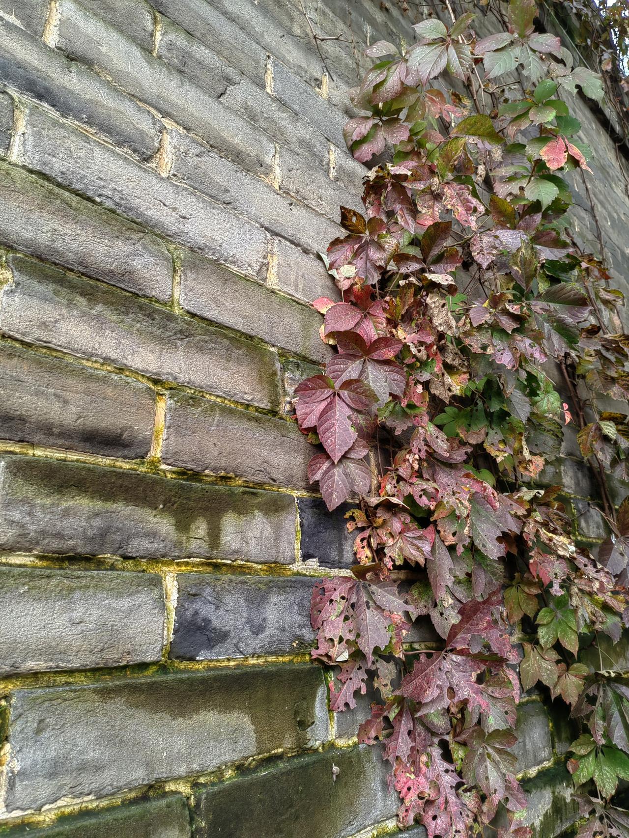 老人的手机不能用了，昨天中午给老人换了个手机，并教给老人如何使用智能机，当然地调