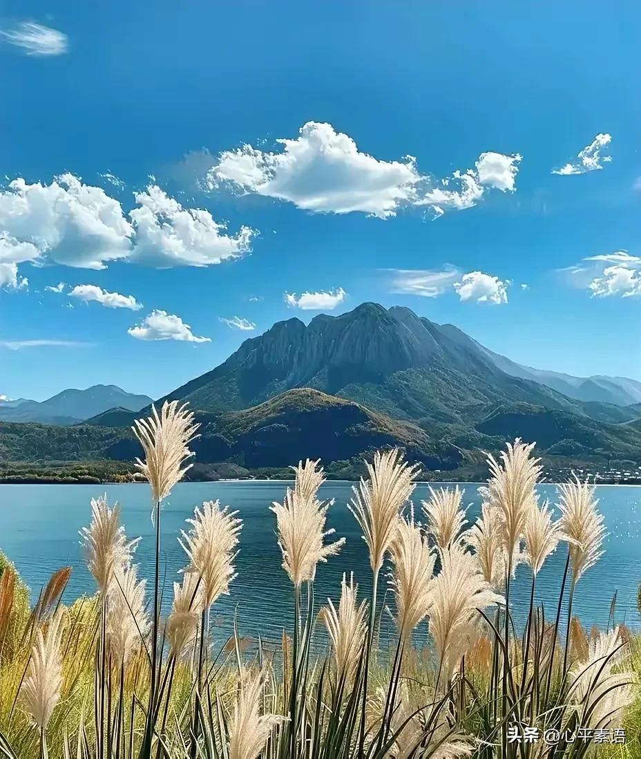 一段醍醐灌顶的话：

“酒，要节制，
少喝是享受，多喝是忍受，大喝是难受；少喝可