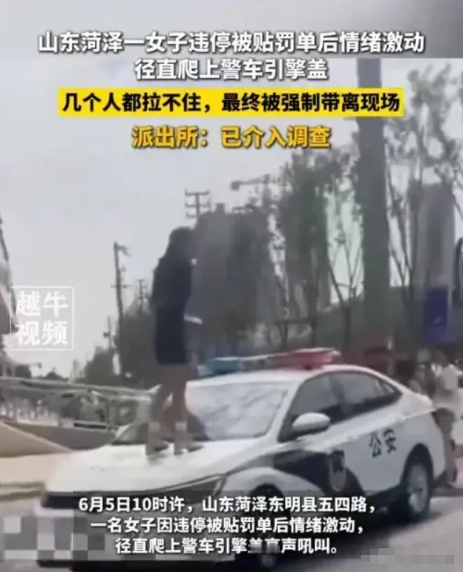 2025年6月5日上午10点左右，山东东明县上演了一场令人无语的闹剧。
一名自称