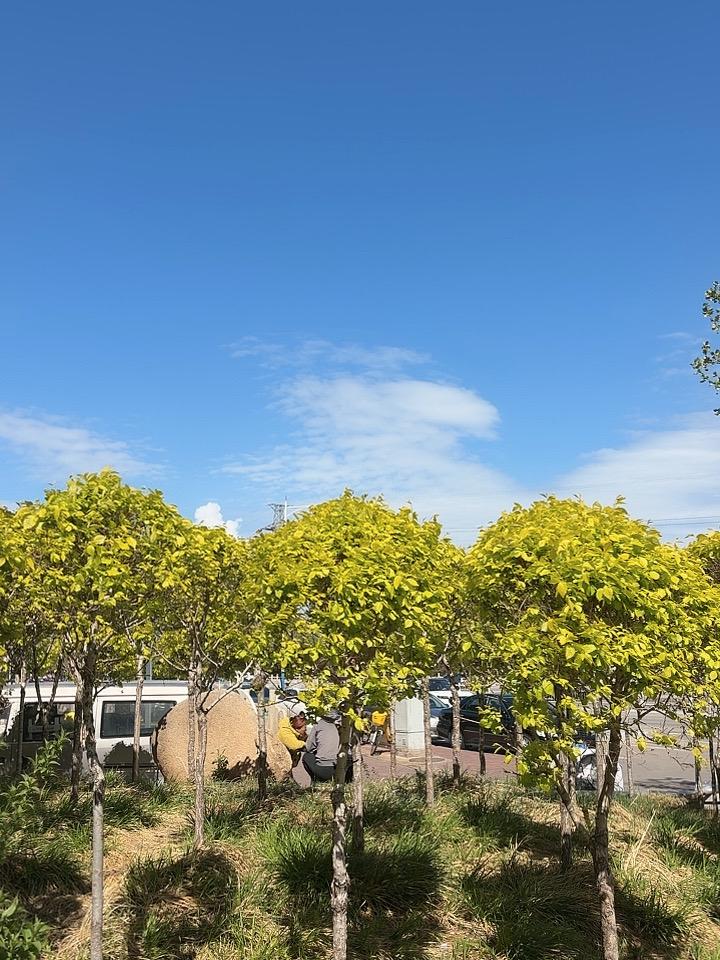 今天天挺好，春风有点凉。
出门看风景，多加件衣裳！