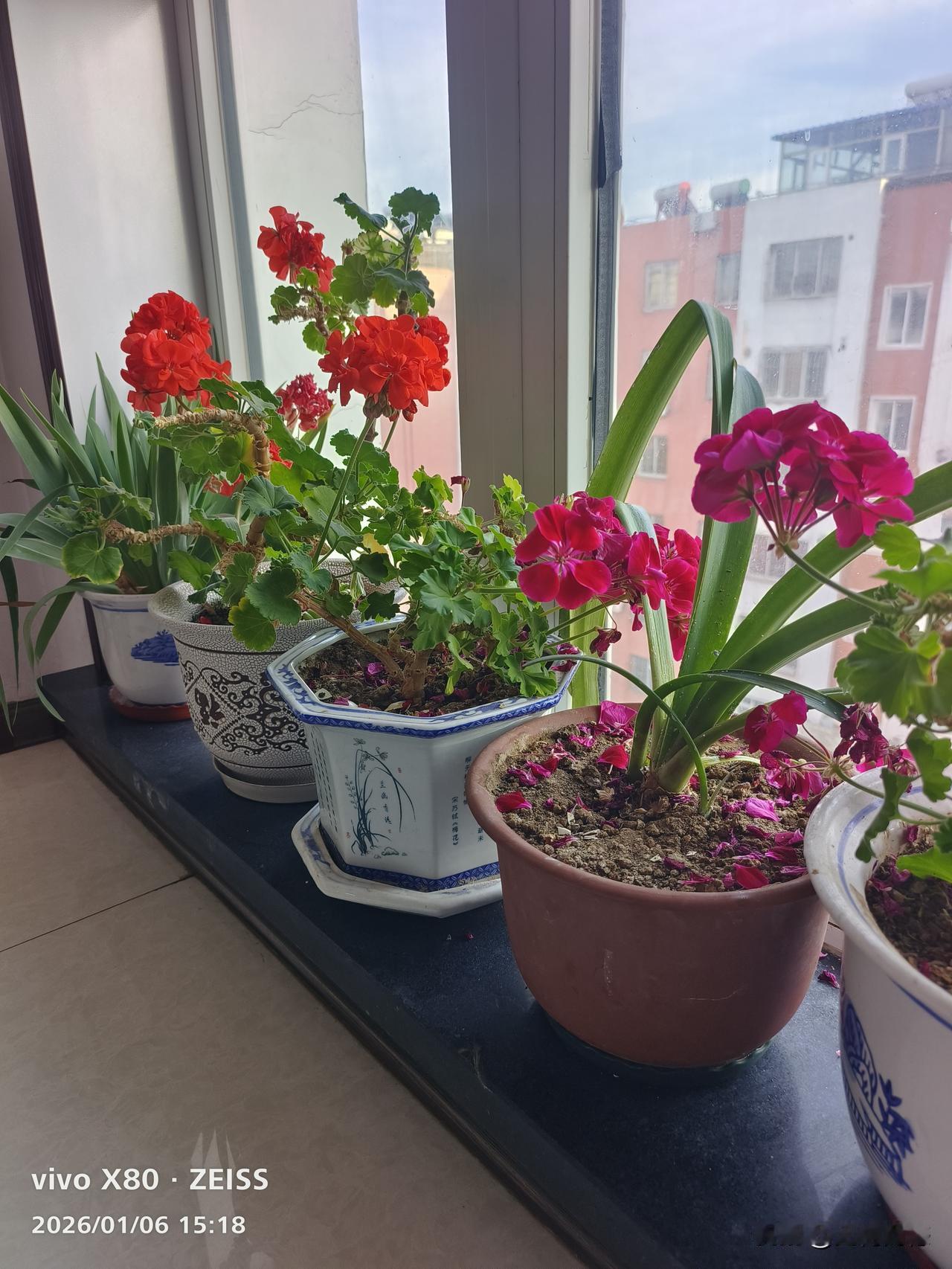 过去的一年，是我活了大半辈子当中最开心的一年，最轻松的一年，最没有压力的一年，这