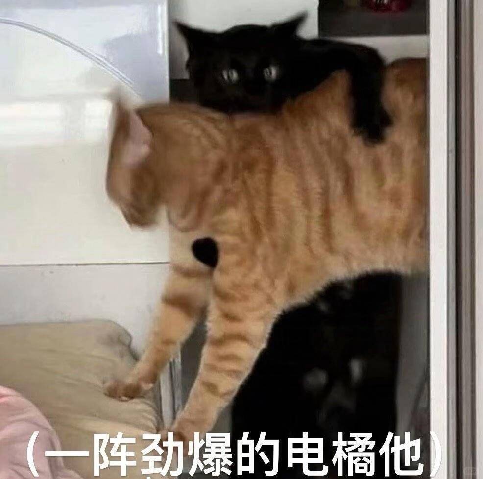 老八小分队新歌是会有多劲爆让大家全都站起来嗨 