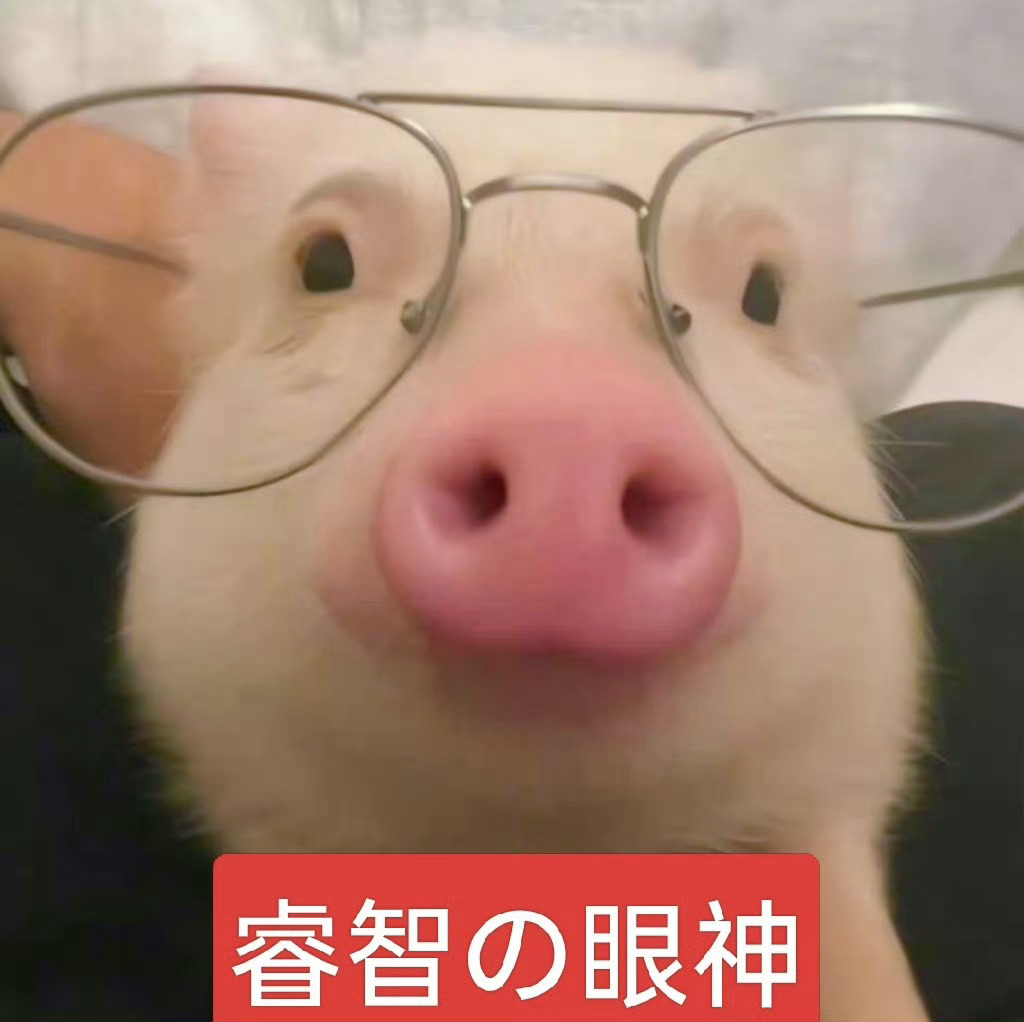 睿智の眼神 