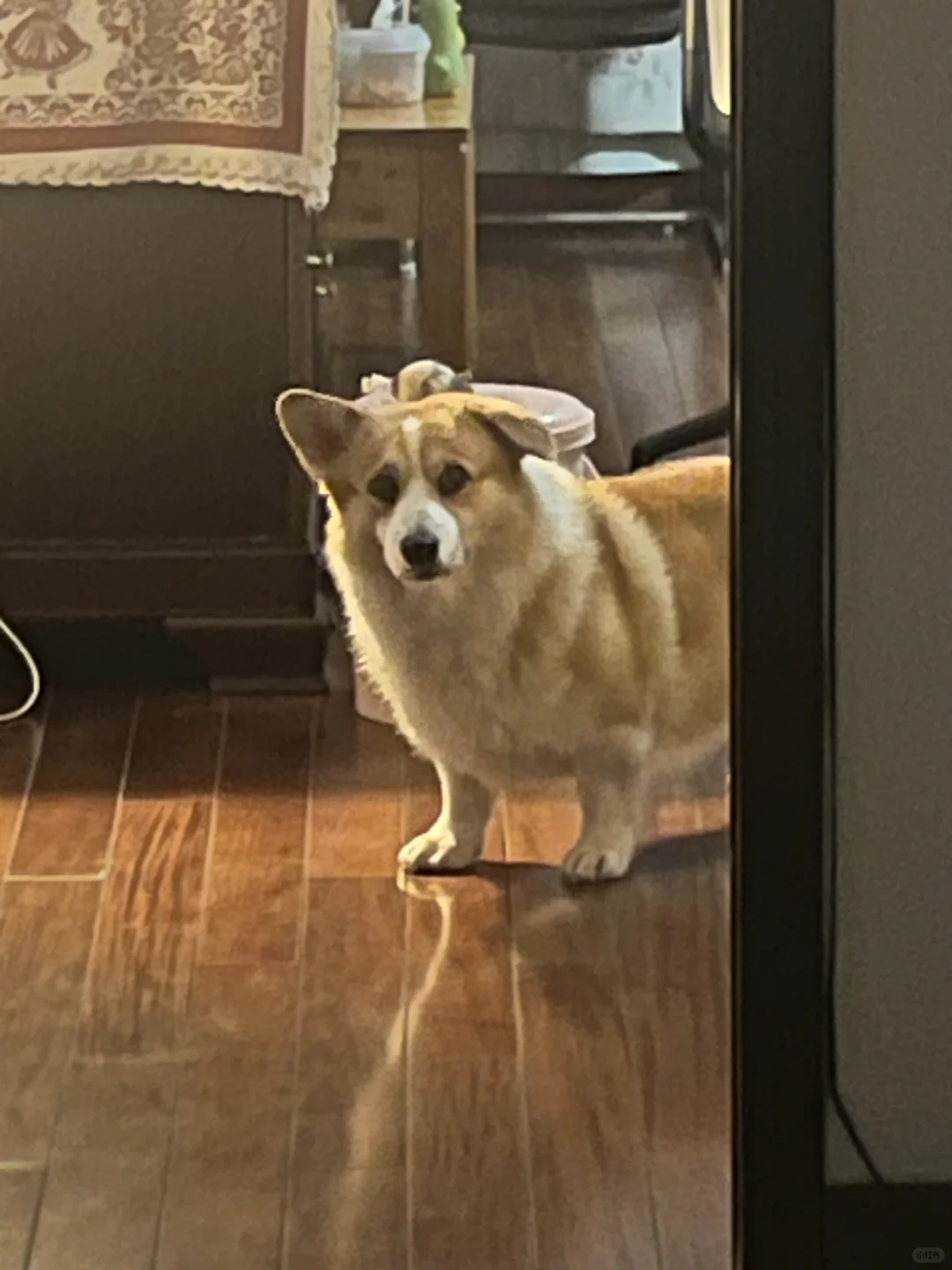 大半夜为什么不睡觉