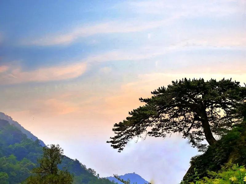 崖边老树发新芽，
谷里轻云扶摇上。
春日朝气满峡谷，
神清气爽仙人境。