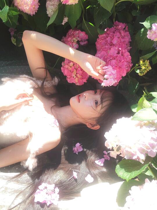明媚的无尽夏🌸在绣球盛开的季节见面吧