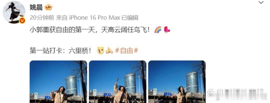 姚晨发文庆祝郭芙蓉还清债务1月2日是《武林外传》开播20周年，也是郭芙蓉打工还债