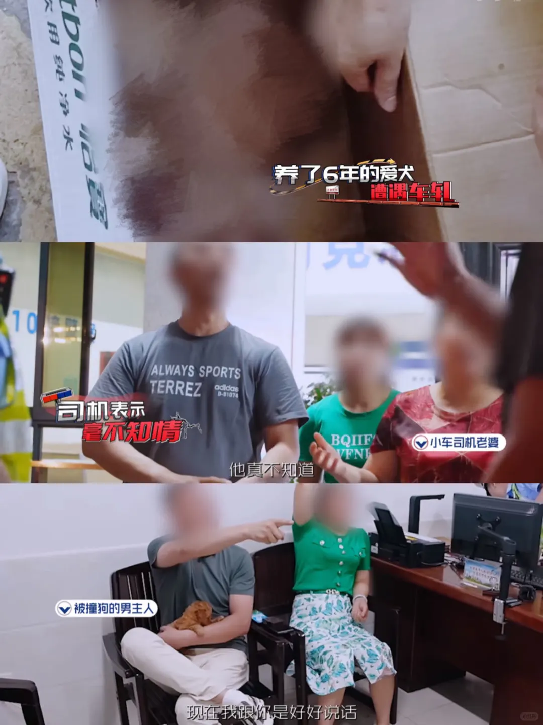你们养狗不牵绳的别说爱狗行吗😢