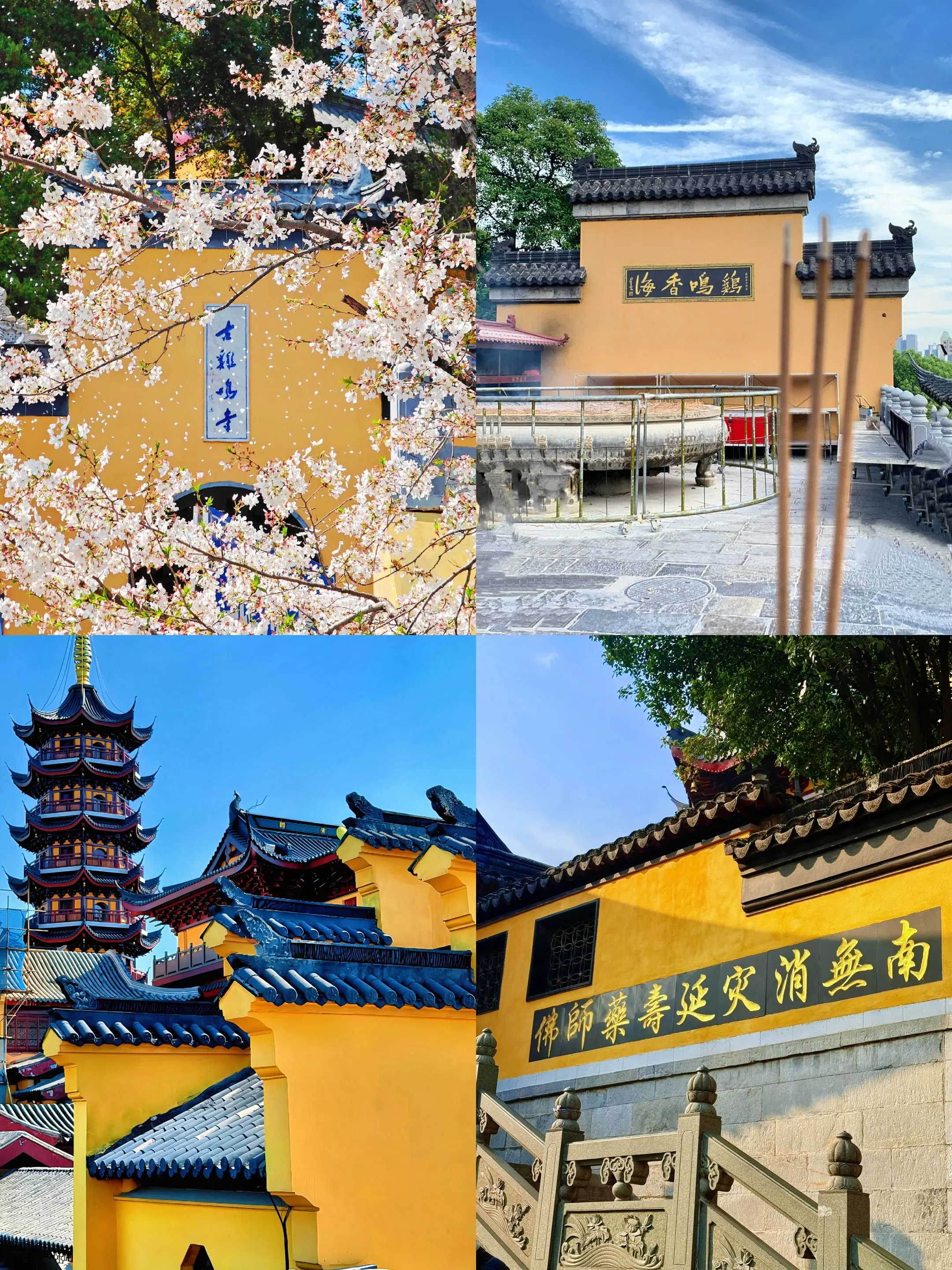 我到底要看看 是扶正缘 还是寡三年