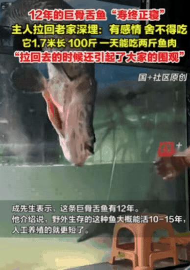 山东滨州，男子回家喂鱼，却发现鱼不动了！他还以为鱼在休息，直到他将其拉出来，才发