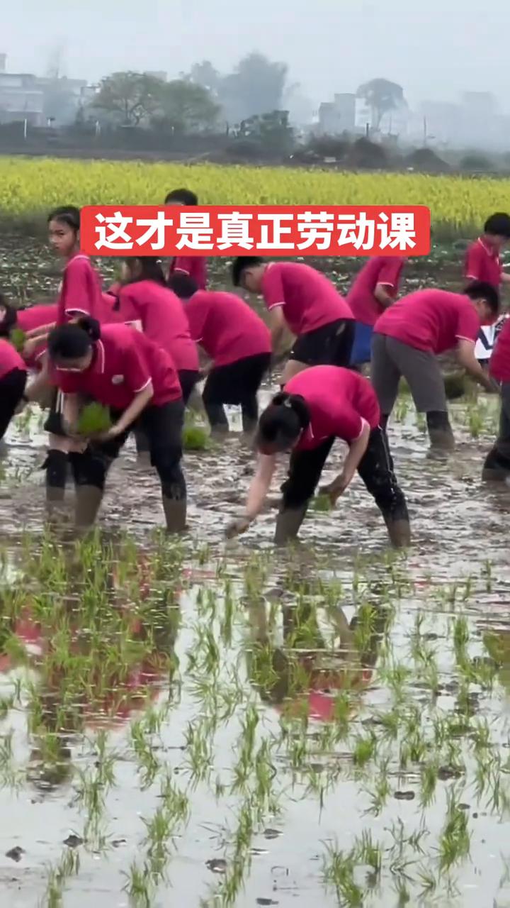 这才是真正劳动课。