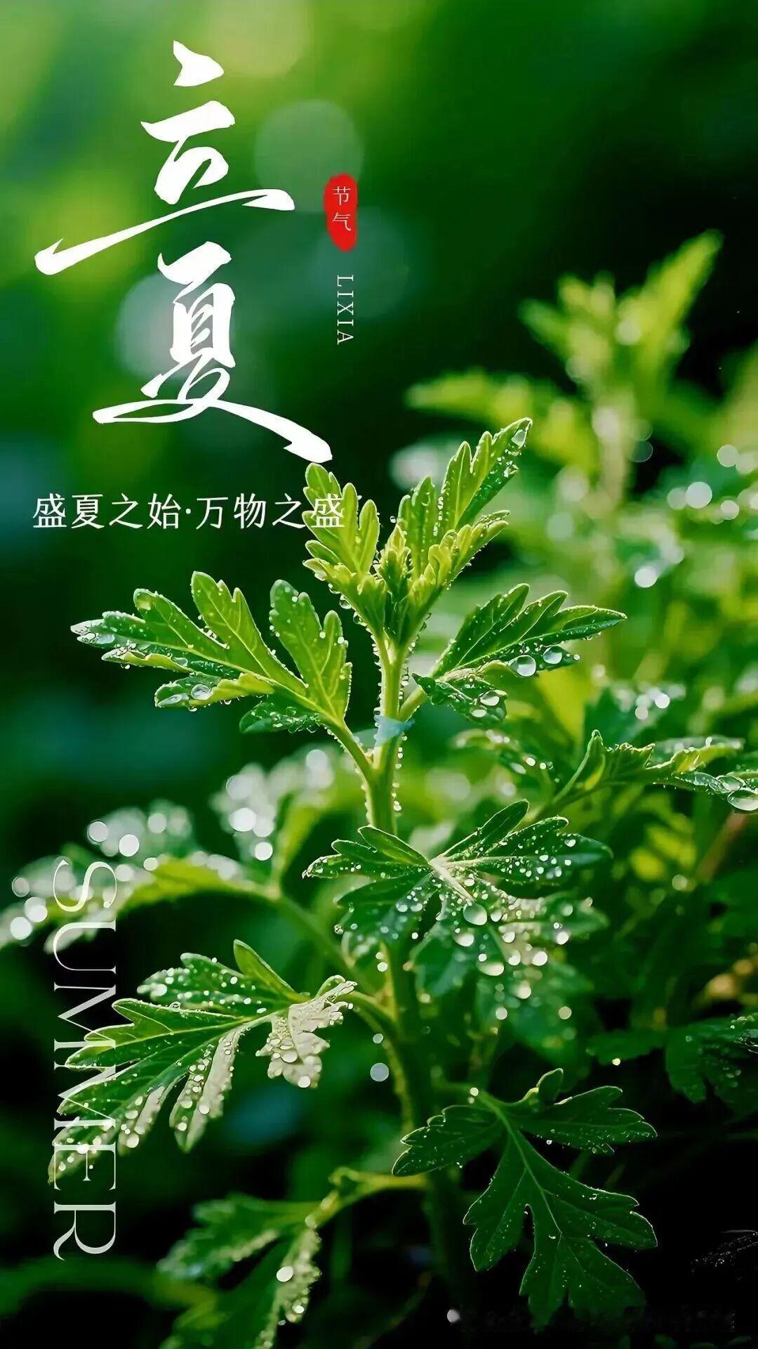 夏天是奔赴，是成长，是满眼绿意与无限希望。愿你在浅夏时光里，不慌不忙，自在从容，