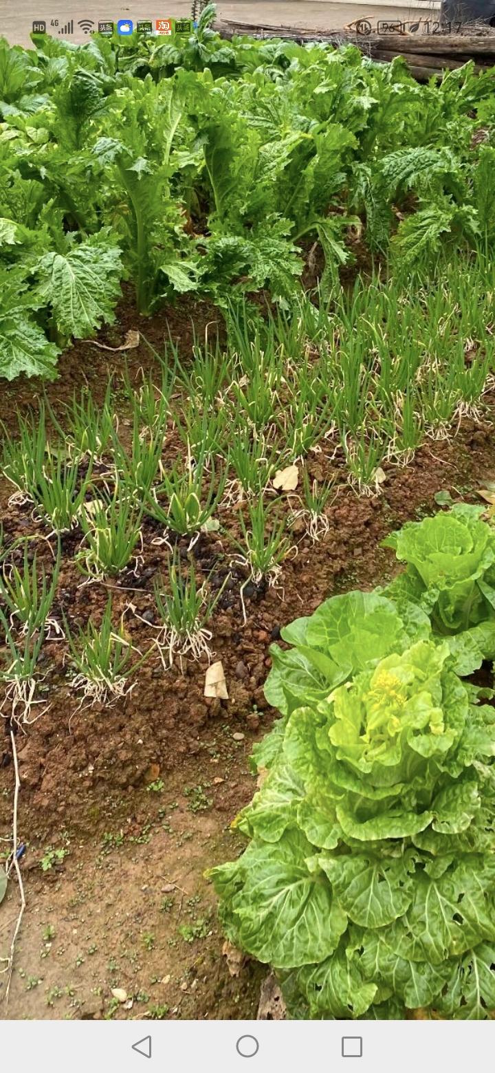 第一次听到“绝户头”这个词，是刚结婚不久，两家邻居吵架，生两个儿子的一家，骂生两