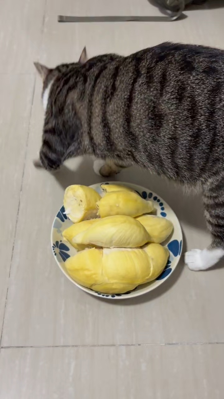 王俊凯和榴莲： 