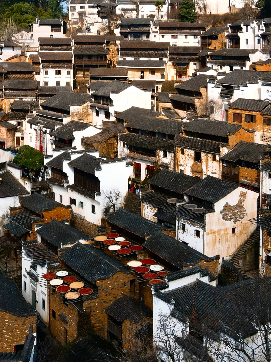 如果一生只能去一个古镇，我实名推荐婺源