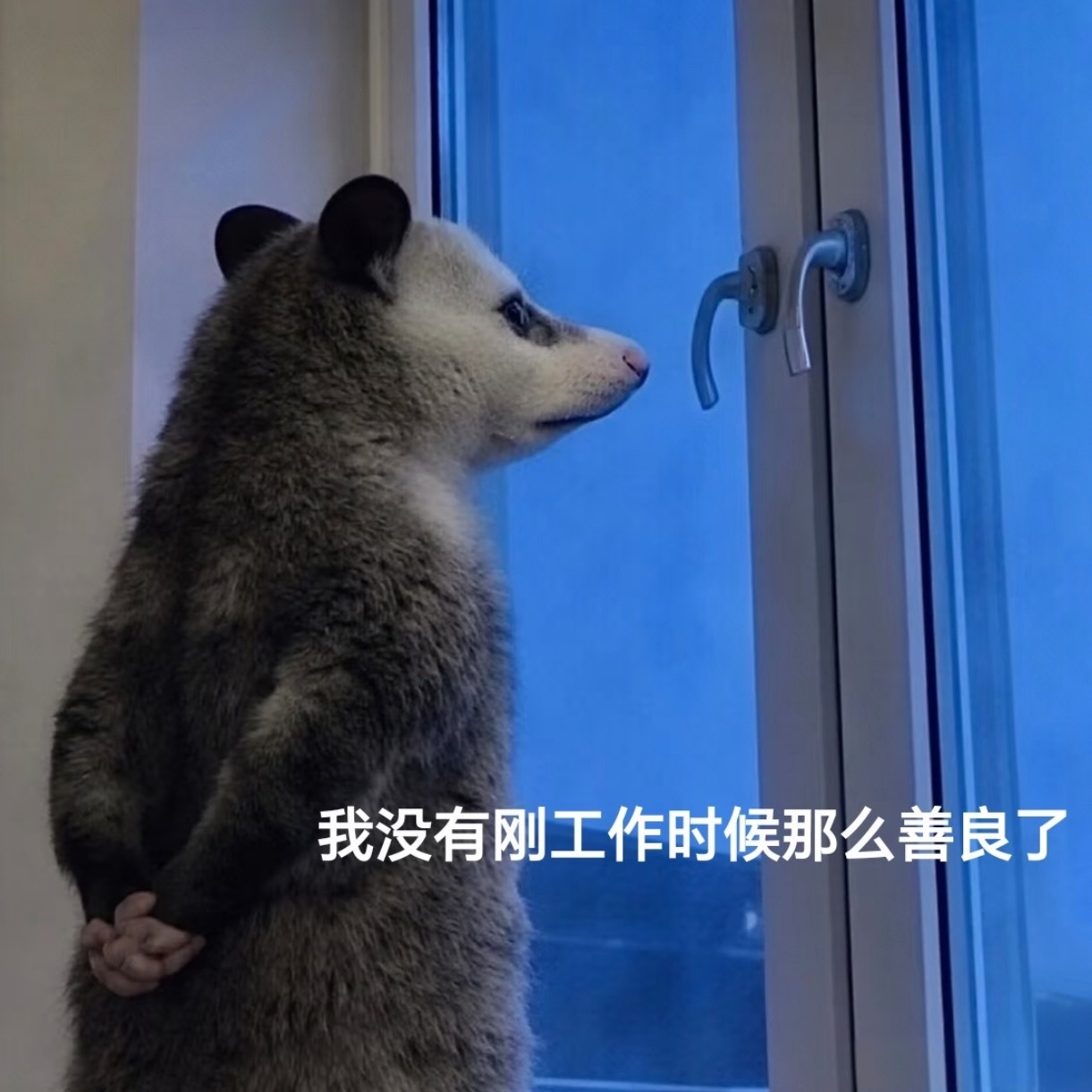 5年不上班的真实感受，朋友圈好像没人庆祝自己找到工作，却有一大把人在庆祝自己离职