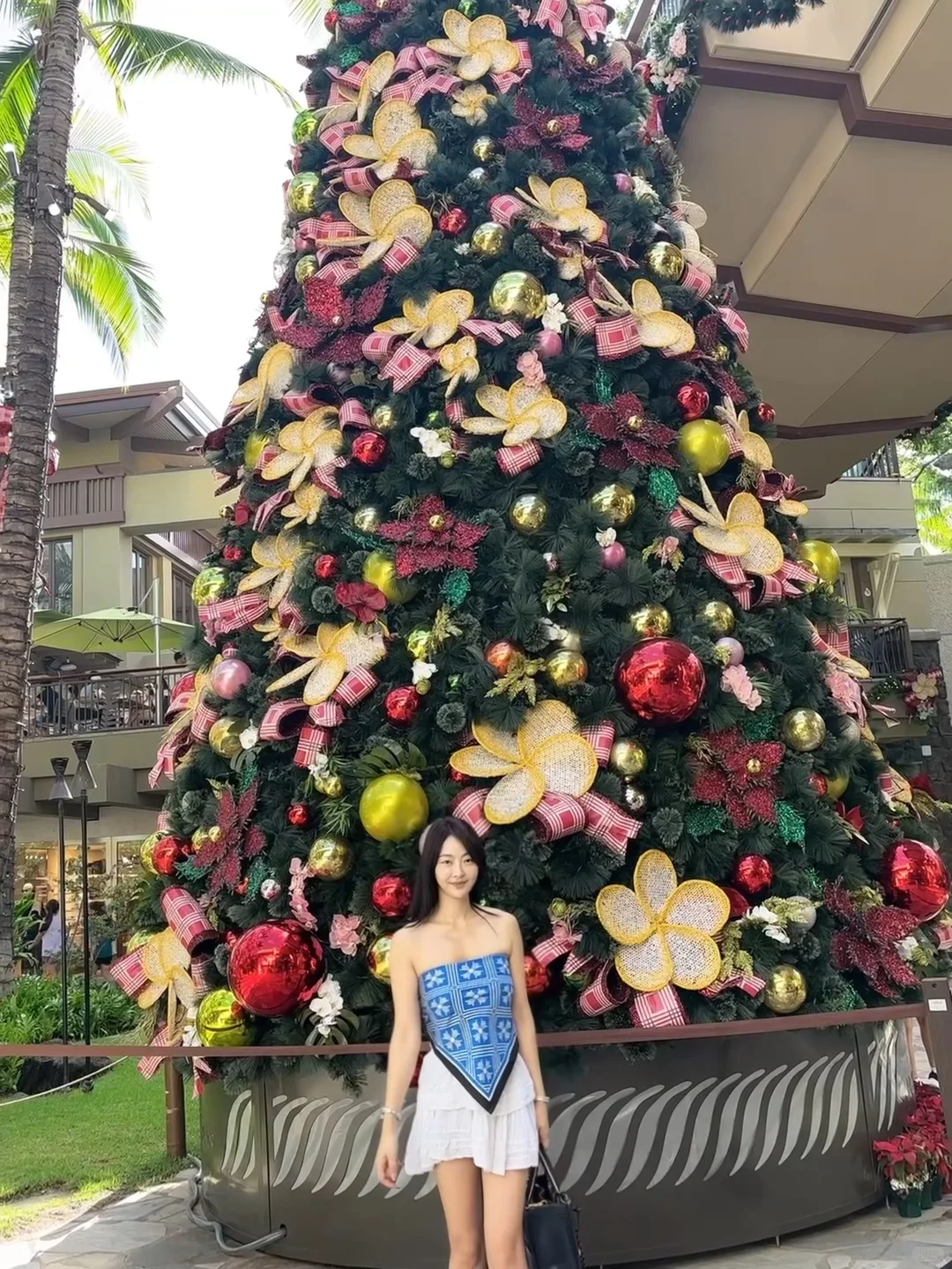 圣诞🎄快乐😁