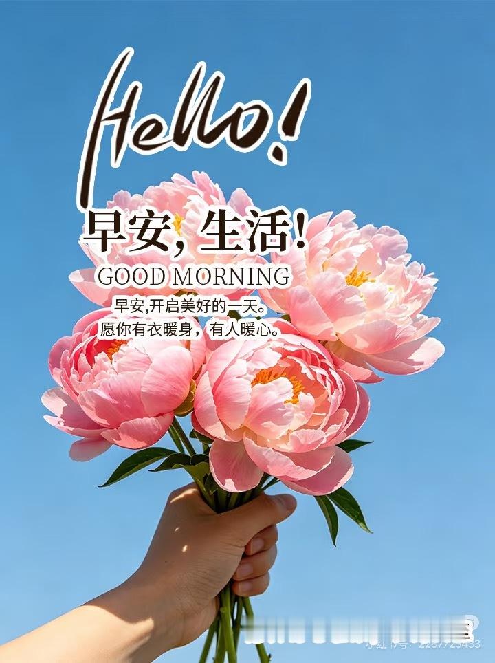 周六早安🍃 不用追赶谁的脚步，就像风里的芦苇，在晨光里轻轻晃，慢下来就是最好的