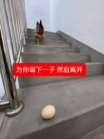 天天在微博公公婆婆妈妈的属性敏感把我双了吧我眼睛看累了别给我扣帽子呀我只是单纯看