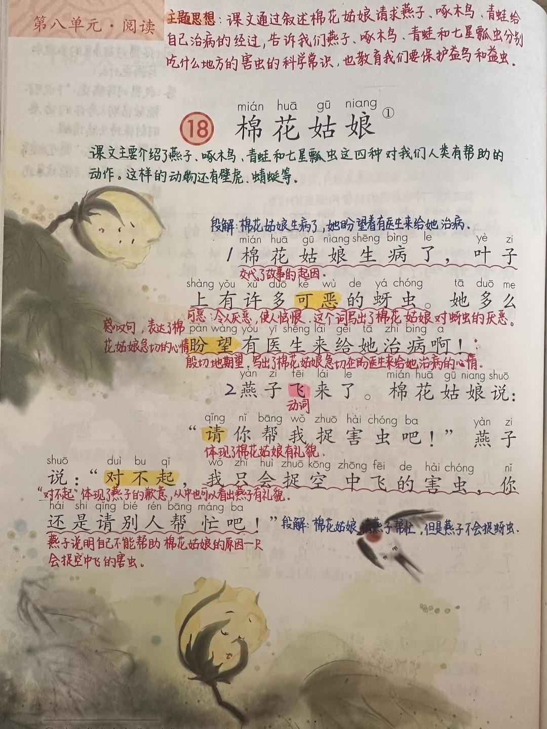 一年级下册语文，第八单元阅读18《棉花姑娘》课堂学习笔记，收藏复习一年级语文