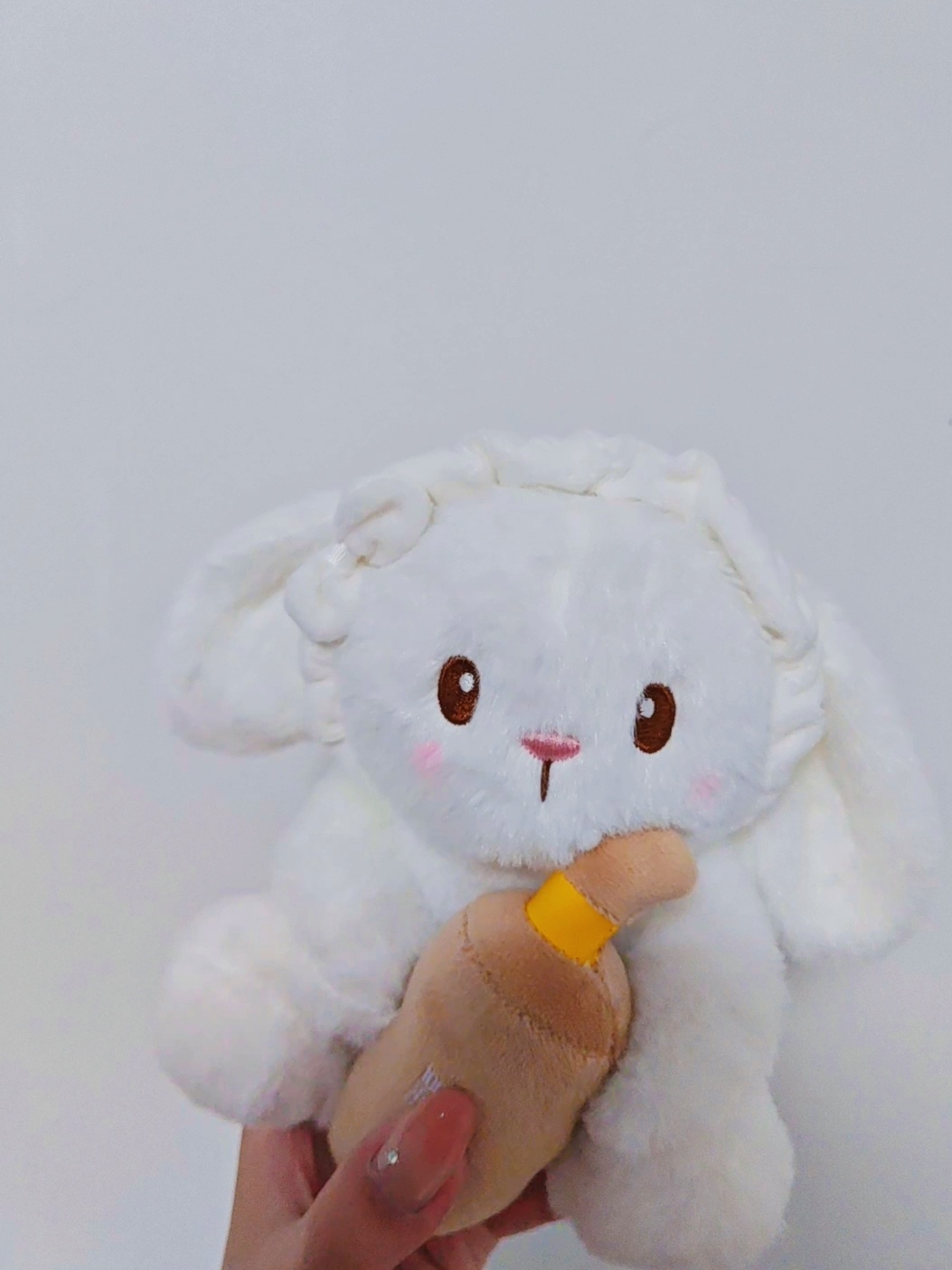 这个兔子简直萌物 