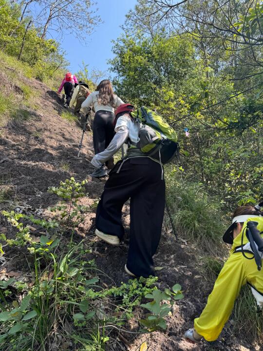 永康最最虐的野路爬山路线，笔架山生无可恋