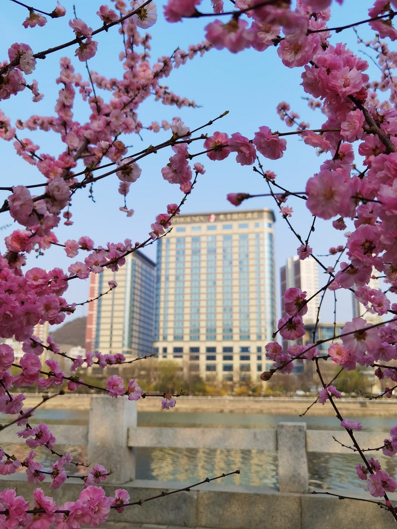承德武烈河，一到四月就美的不像样子。

武烈河是承德的母亲河 ，蜿蜒穿越承德主城