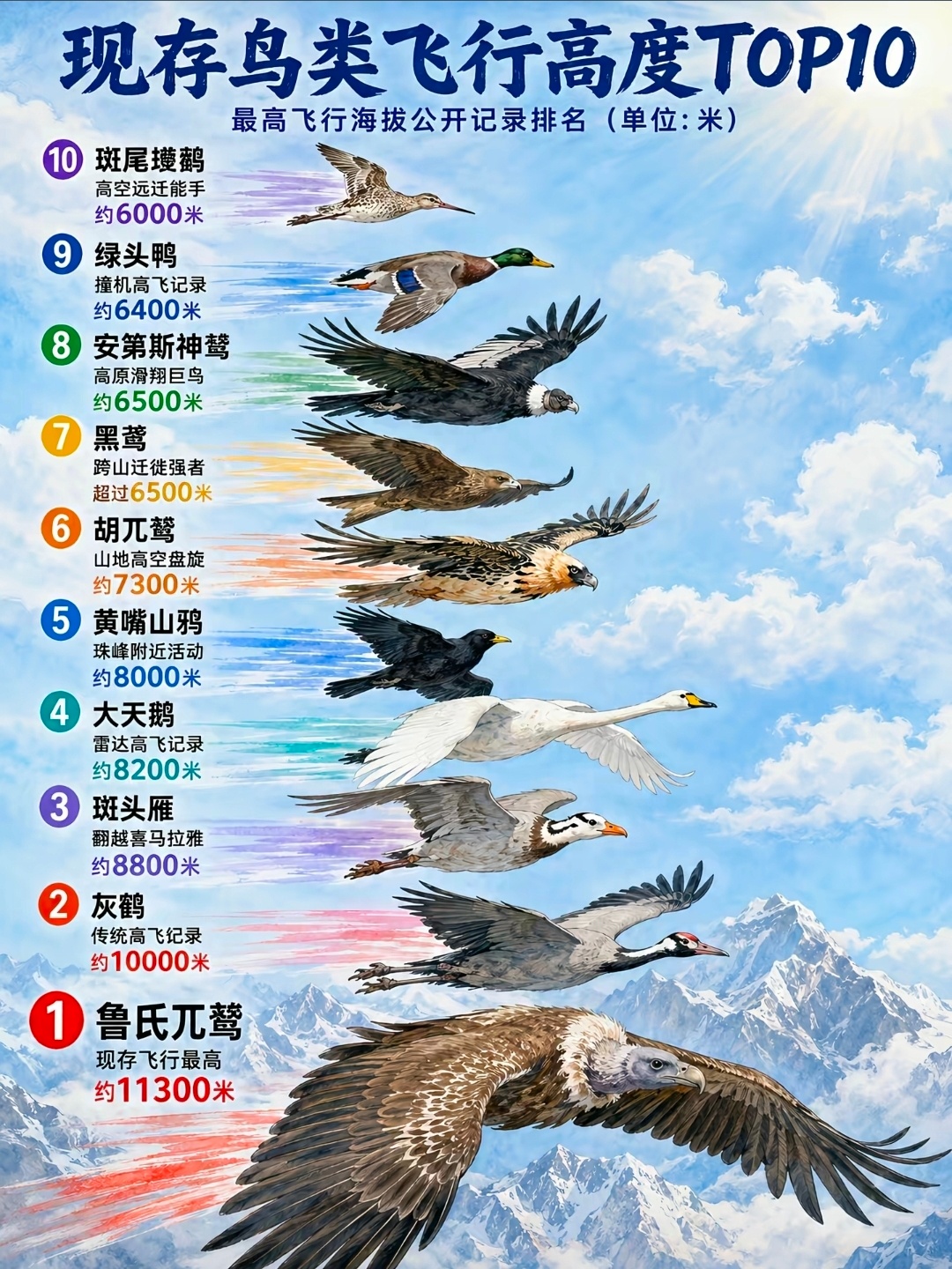 落霞与孤鹜齐飞，秋水共长天一色。渔舟唱晚，响穷彭蠡之滨；雁阵惊寒，声断衡阳之浦。