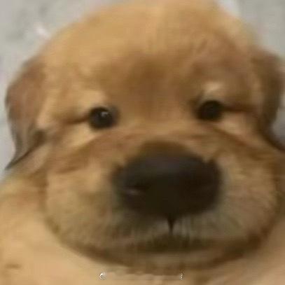 tjt养不成 倒是有ss ​​​