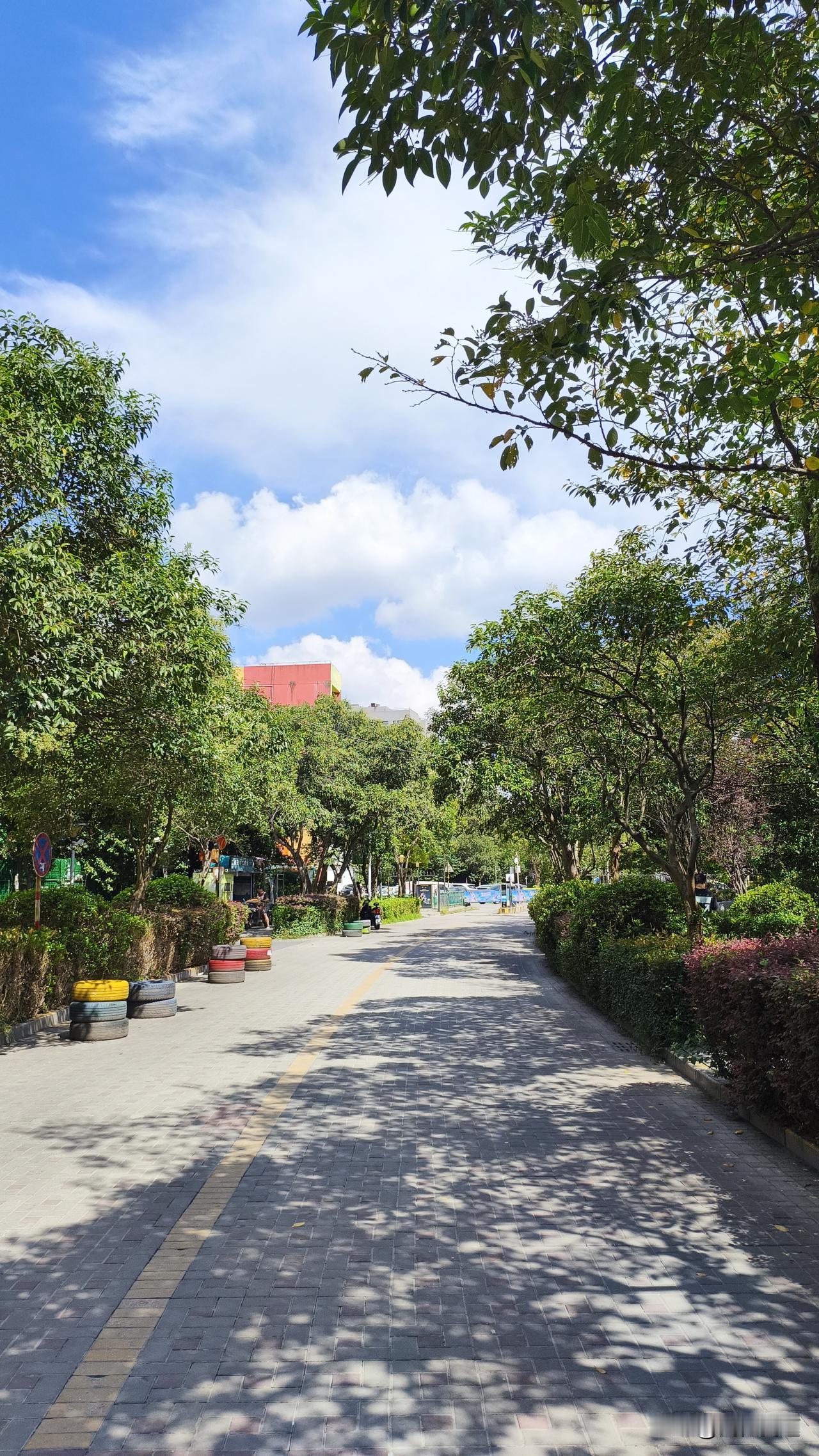 南京这两天气温慢悠悠往上爬，前几天下午两点走在街上还能裹着薄外套晃，大部分地区气
