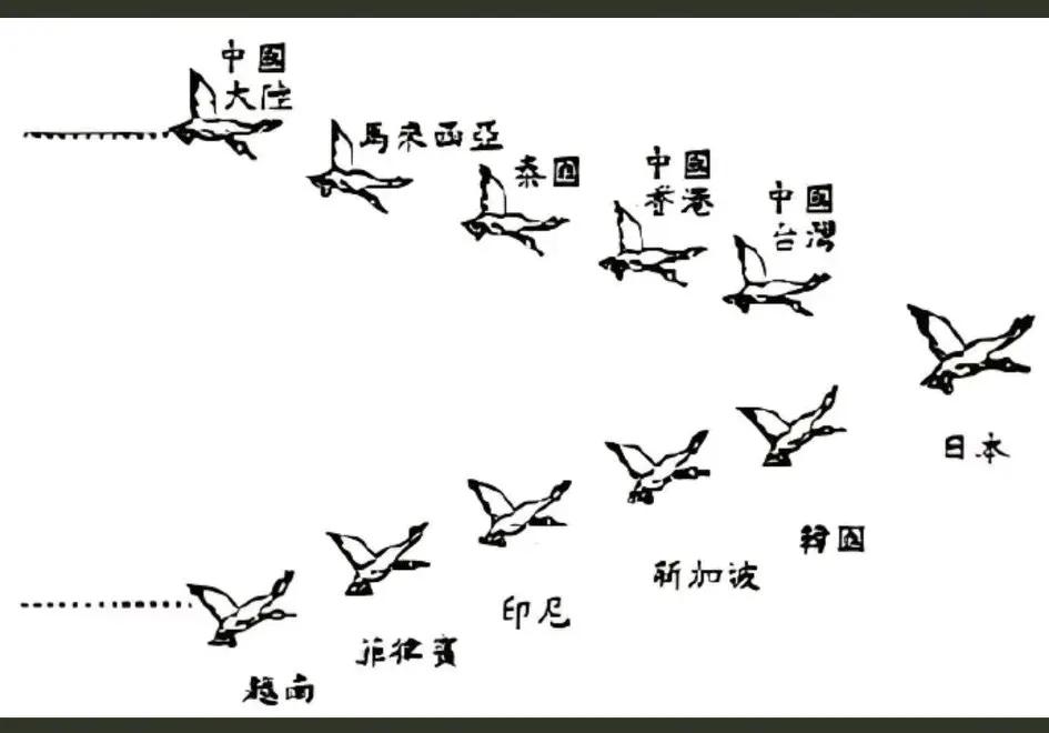 这是日本1963年参与的鸟类迁徙验证计划，背景是美军为研究候鸟携带寄生虫/疫病，