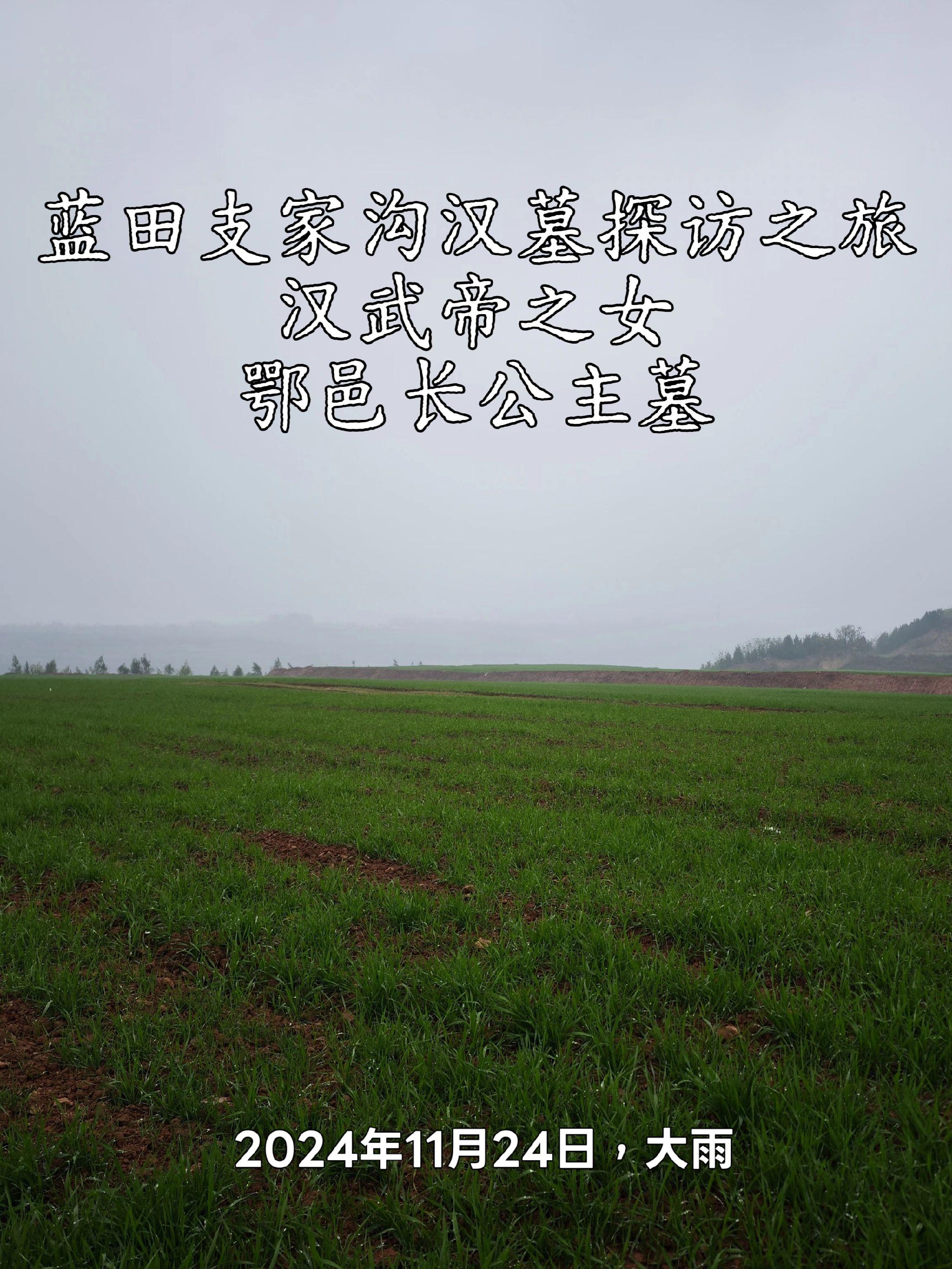 汉武帝之女、鄂邑长公主墓（支家沟汉墓）陕西省考古研究院为配合西安至商州...