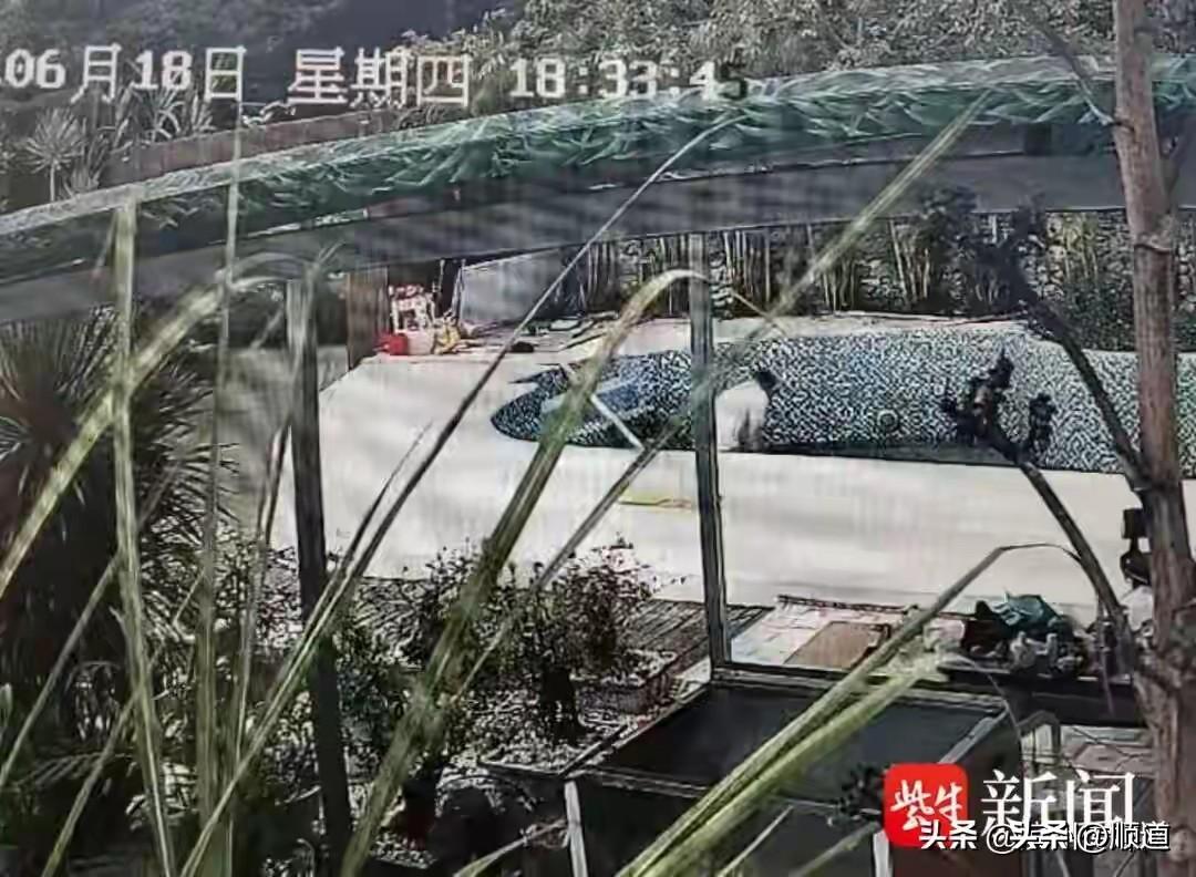 这事确实是让人唏嘘。
2026年6月18日，在三亚经营民宿的江先生接到母亲癌症去