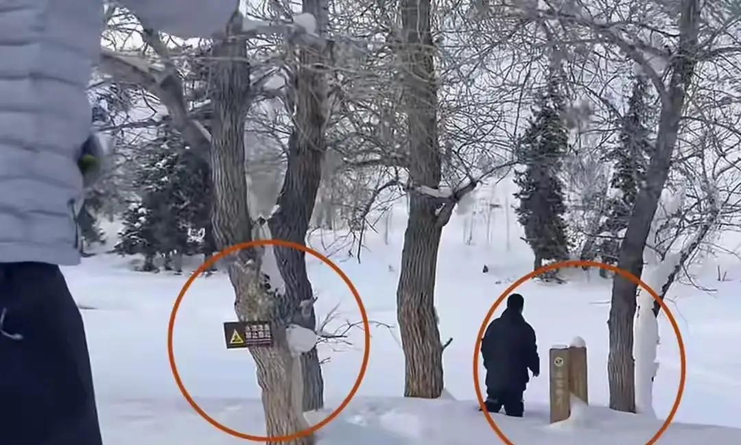 央视发文怒批！女游客违规靠近雪豹被伤，正接受调查。

说白了就是该女游客被雪豹咬