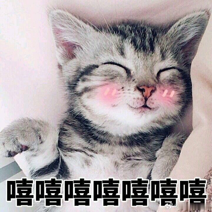 影视飓风是不是中国最酷的公司 从内容创作到团队氛围，影视飓风总能跳出常规思路，做