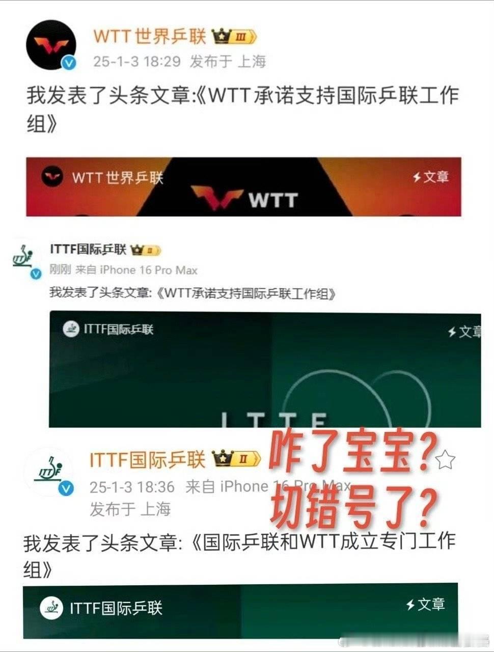 WTT官方声明 很想知道你们是不是一个人操作的两个账号？诚实一点，实话实说呗……