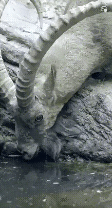 这个挺调皮的，
还好里面没有鲨鱼。