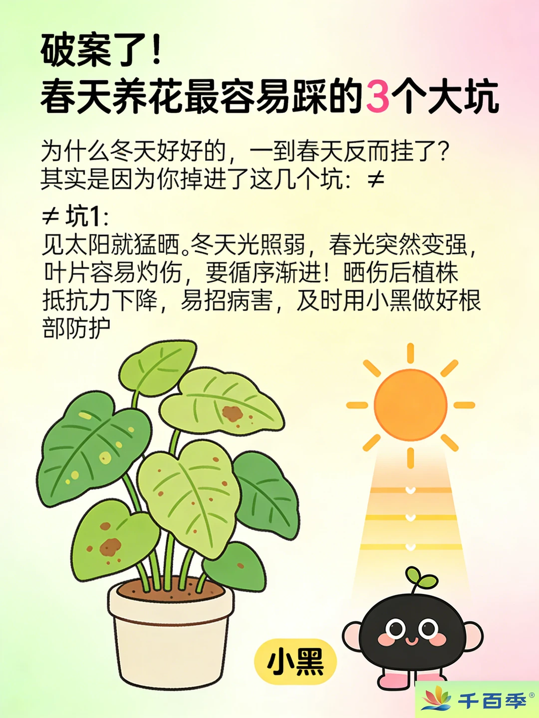 破案了！春天养花最容易踩的3个大坑