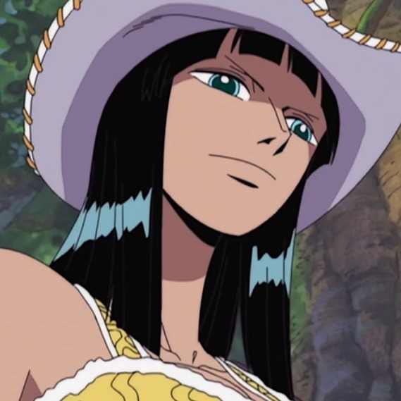 海贼王 海贼王 娜美和罗宾 