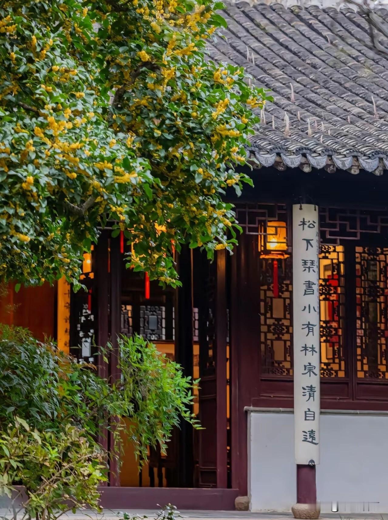 临江仙·自宽
 
几番风雨催霜鬓，浮生多少波澜。
何须紧锁两眉端。
愁来随雾散，