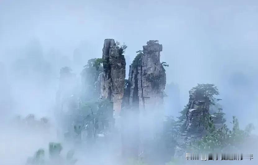 山之美：
雾绕山间恋山巅，
山巅挚爱在修仙。
身在山巅更爱山，
早已忘记尘世缘。
