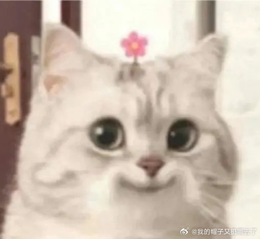 起猛了看见范伟用AI眼镜遛鸟了中式园林里，范伟提着鸟笼悠然散步，一副AI眼镜却打