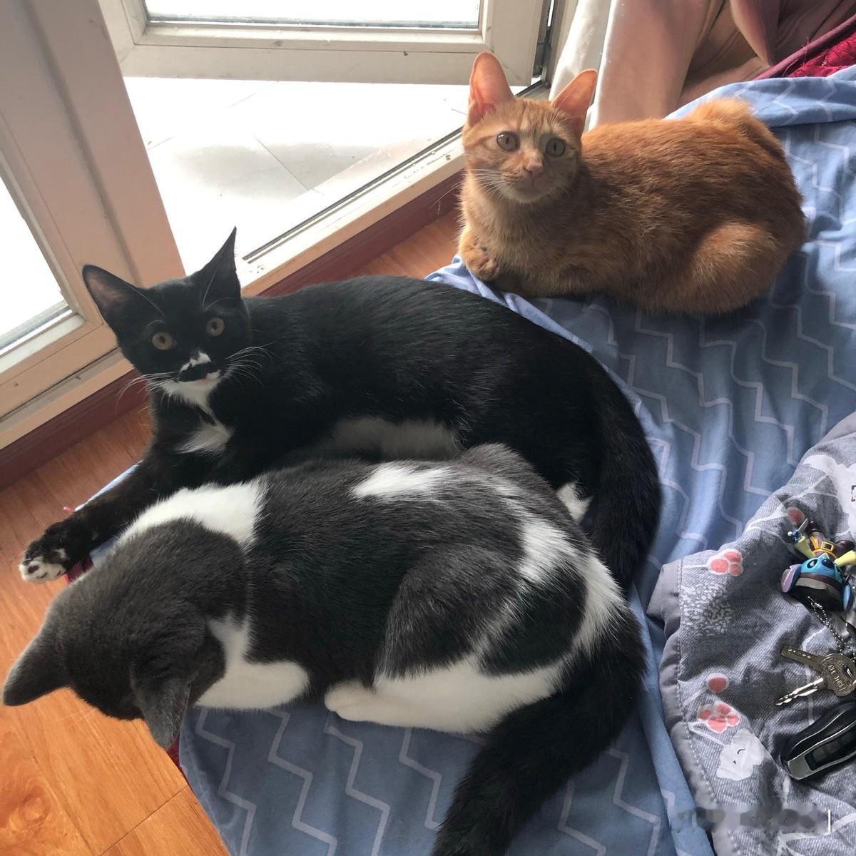 也不知道为什么？有人说，所有动物还不怕同伴的尸体，然而人是高级动物，人活着的时候