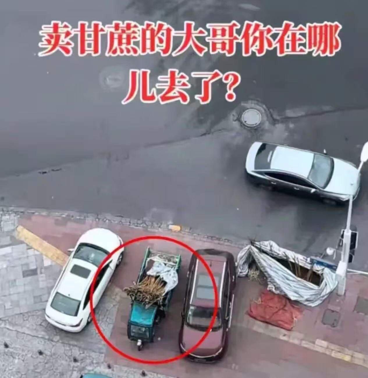 男子发现楼下卖甘蔗的大哥从过年之后就没出摊了，三轮车上的甘蔗都枯成了“木头”！他